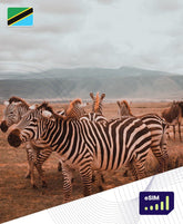 Tanzania eSIM Plans - Roamight